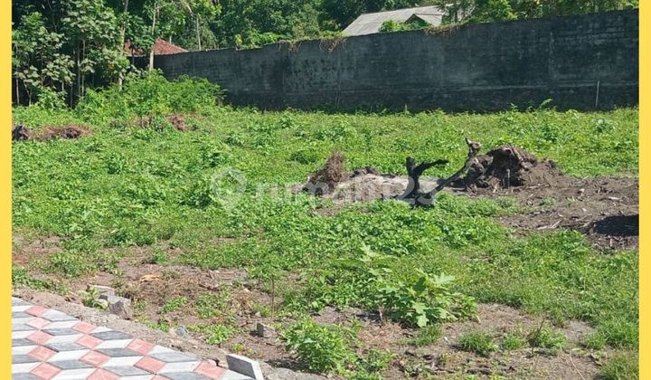 Tanah Kost Jogja 1Km Dari Kampus Uii Kaliurang 3Jtan/Mtr