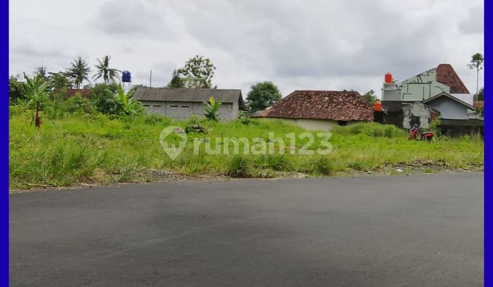 Tanah Jogja bisa di Kredit KPT 1Km Jl Kaliurang Km10 Tanah Jogja bisa di Kredit KPT 1Km Jl Kaliurang Km10