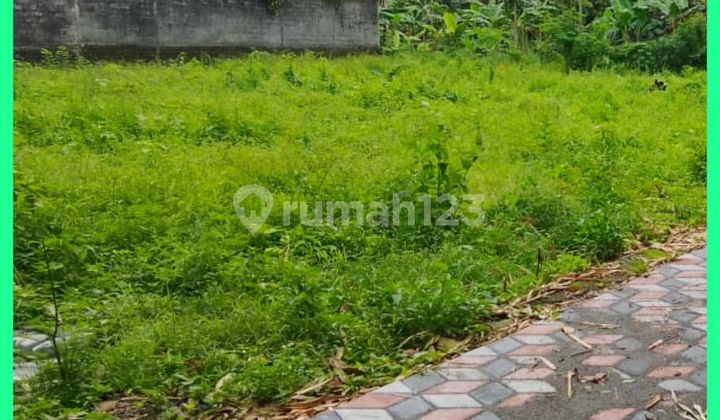 Tanah Jogja Lahan Matang Area Kost Kampus Uii Kaliurang Tanah Jogja Lahan Matang Area Kost Kampus Uii Kaliurang