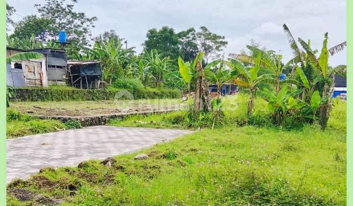 Tanah Jogja Area Jl Tajem Dekat Kampus Unriyo Maguwoharjo