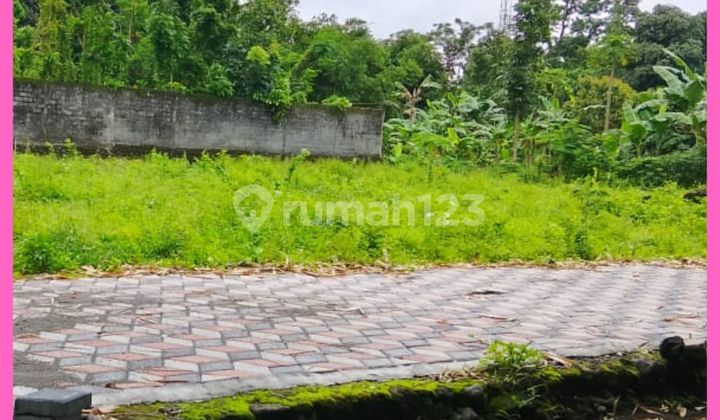 Tanah Kost Area Kampus Uii Kaliurang Jogja SHM Pekarangan