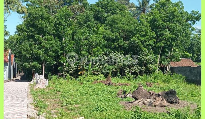 Yogyakarta Kaliurang Land, Suitable for Boarding House, 4 Minutes to UII Campus.