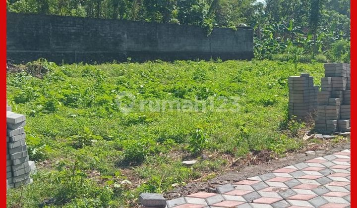 Yogyakarta Land, 4 Minutes to UII Kaliurang Campus, Freehold Certificate, Yard.