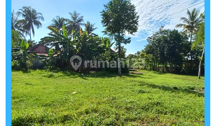 Tanah Dijual Area Gamping Sleman Siap Balik Nama SHM Pekarangan