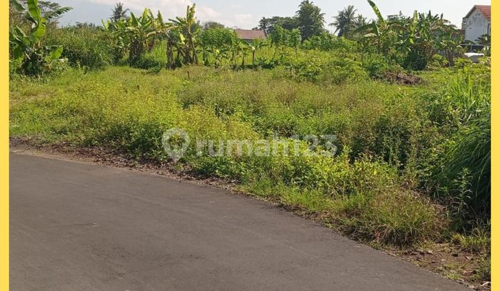 Tanah Jogja Area Jl Kaliurang 10 Menit Kampus Uii Tanah Jogja Area Jl Kaliurang 10 Menit Kampus Uii