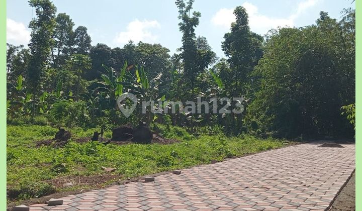 Tanah Jogja Cocok Kost 3 Jt-An/Mtr 1Km Kampus Uii