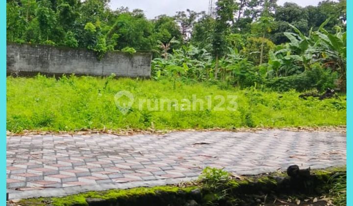 For Sale: Land in the UII Kaliurang Campus Area, Shmp