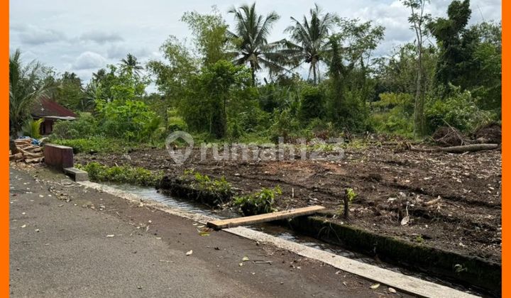 Affordable Land in Western Sleman, Jogja, Palagan Street Km14
