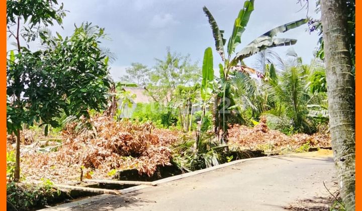 Tanah Jogja Area Barat Jl Palagan Km14 Dekat Kadilobo Resort