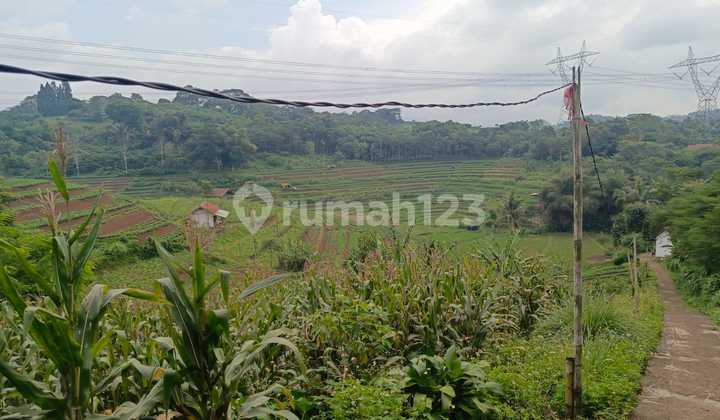 DIjual Tanah 1,2Ha SHM Untuk Perkebunan Peternakan di pamulihan Sumedang DIjual Tanah 1,2Ha SHM Untuk Perkebunan Peternakan di pamulihan Sumedang