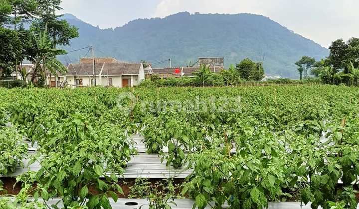 Land for Sale in Ambar Tanjungsari Complex, Sumedang #ByKangRahi