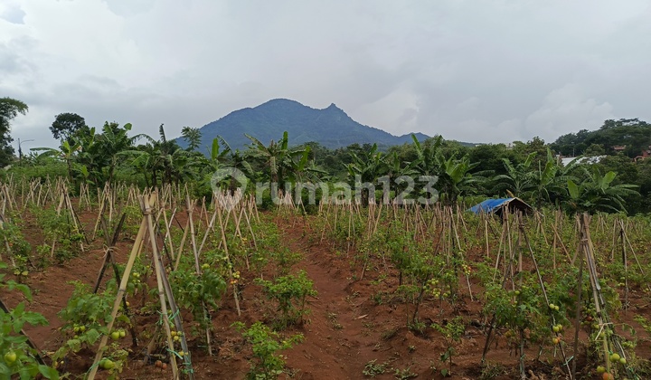 Tanah Dijual Cocok Untuk Perumahan/villa Di Bandung Cileunyi #ByKangRahi