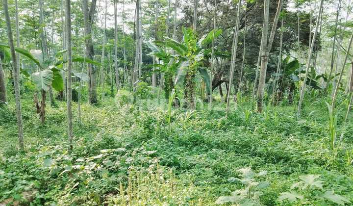 Tanah Siap Pakai Lokasi Cimnade,Cianjur@Jawa Barat