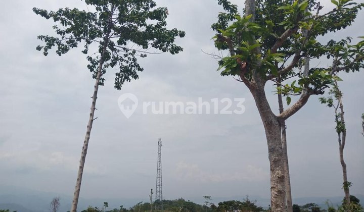 For Sale, Land Suitable for Plantation or Residence, Land with SHM Certificate 10000.0 m² For Sale, Land Suitable for Plantation or Residence, Land with SHM Certificate 10000.0 m²