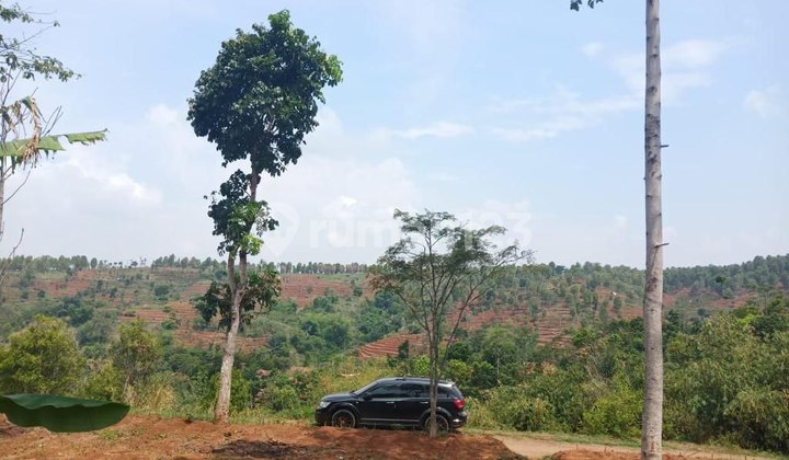 For Sale, Land Suitable for Plantation or Residence, Land with SHM Certificate 10000.0 m² For Sale, Land Suitable for Plantation or Residence, Land with SHM Certificate 10000.0 m²