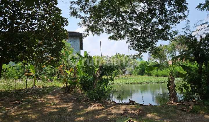 Tanah Daerah Sukatani Murah 1