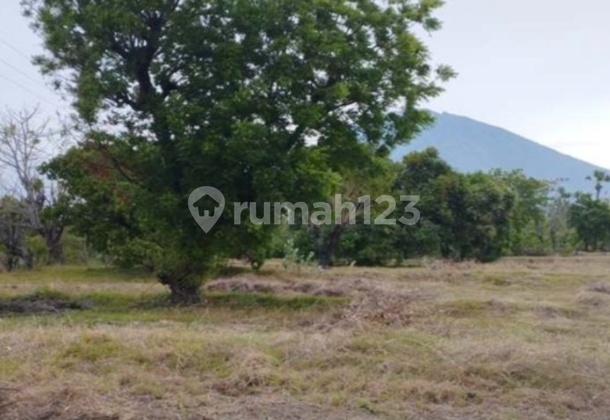 Land Karang Asem 2 Hectares Bali Auction Strategic Land Karang Asem 2 Hectares Bali Auction Strategic
