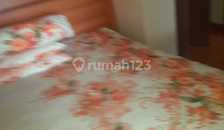 Disewakan Rumah Sumarecon Lokasi Strategis Dekat Dengan Mall Sumarecon Disewakan Rumah Sumarecon Lokasi Strategis Dekat Dengan Mall Sumarecon