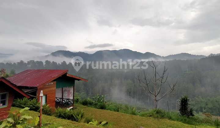 Jual Lahan Tanah Produktif di Maribaya