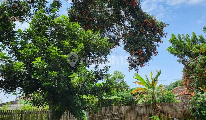 Land for Sale + Building Bonus in Kalijati Area, Subang Land for Sale + Building Bonus in Kalijati Area, Subang