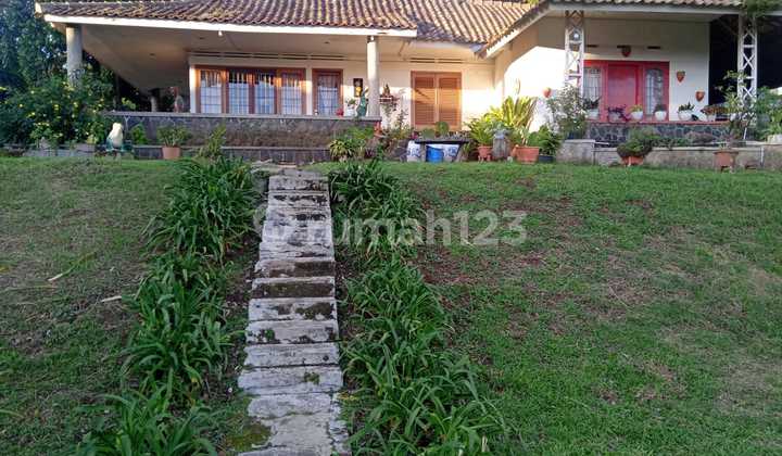 For Rent: Cool, Comfortable, and Serene Villa in Setiabudi For Rent: Cool, Comfortable, and Serene Villa in Setiabudi