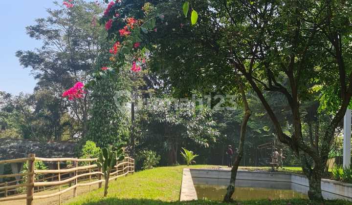 Dijual Villa Super Luas Harga Murah Didaerah Banjaran Dijual Villa Super Luas Harga Murah Didaerah Banjaran