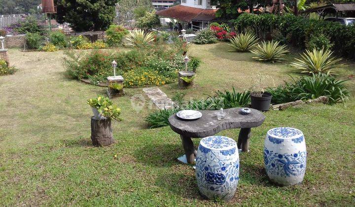 Disewakan Villa Sejuk, Nyaman Dan Asri Di Setiabudi 1