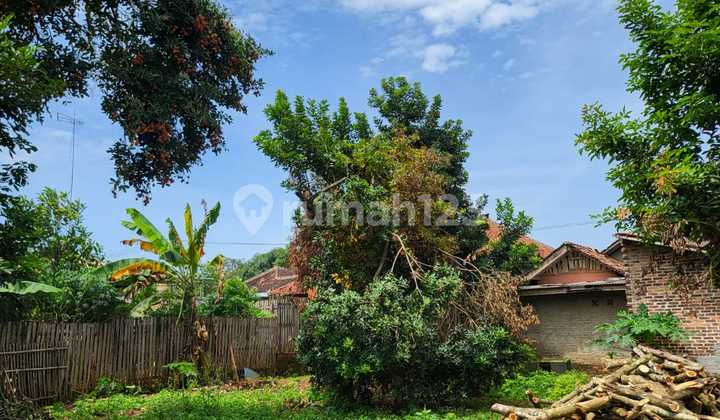 Land for Sale + Building Bonus in Kalijati Area, Subang Land for Sale + Building Bonus in Kalijati Area, Subang