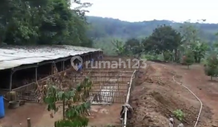 Jual Lahan Tanah di Subang , Perbatasan ke Lembang