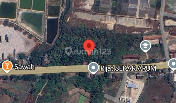 Cari Lahan Di Lokasi Strategis? Tepat Dipinggir Jalan Raya Pantura, Bentuk Lahan Bagus, Harga Menarik! 2