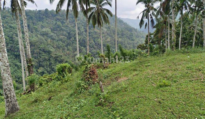 Tanah View Bagus di Payangan, Ubud, Gianyar ,Bali 1