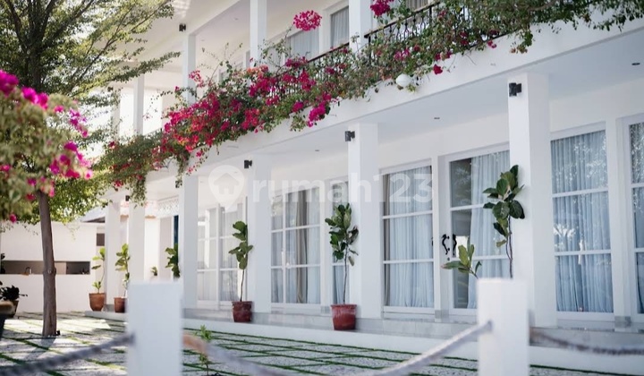 Hotel Beachfront Lovina Buleleng Bali