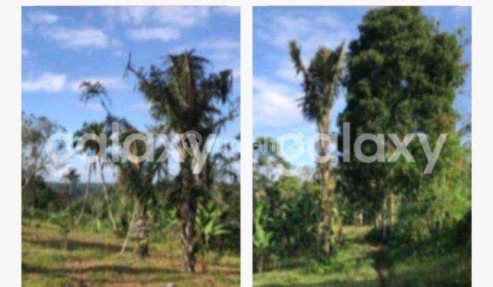 Tanah Banjar Pausan Desa Buahan Kaja 1