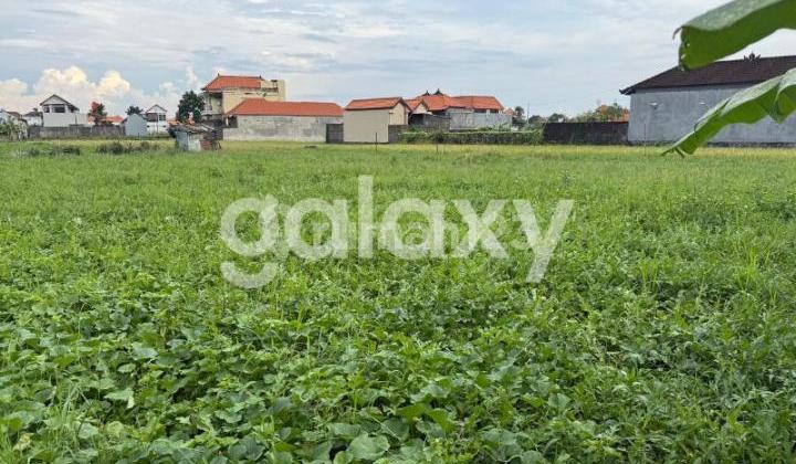 Plantation Land in Sanur Kauh Denpasar, Bali Plantation Land in Sanur Kauh Denpasar, Bali