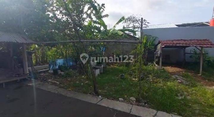 Tanah Kavling Pratama Di Rorotan Cilincing Jakarta-utara 2