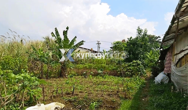 Tanah Daerah Industri Jalan Lebar Lokasi Mainroad di Kopo Katapang Bandung 2