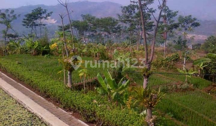 Jual 3 Kavling Tanah di Cempaka Mekar Padalarang Vy