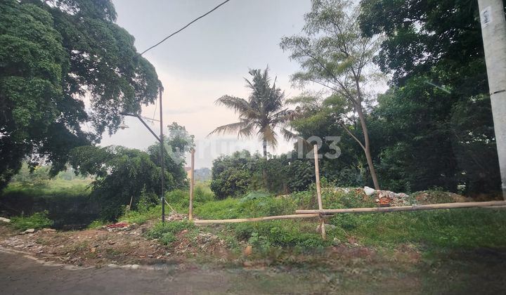 Cocok Untuk Kost Exclusive Undip Tembalang  2