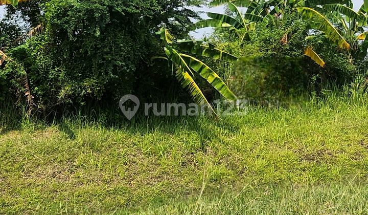 Cocok Untuk Industri Bisa Lewat Kontainer 2