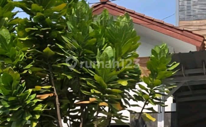 Investasi Bagus Cocok untuk Kantor 1