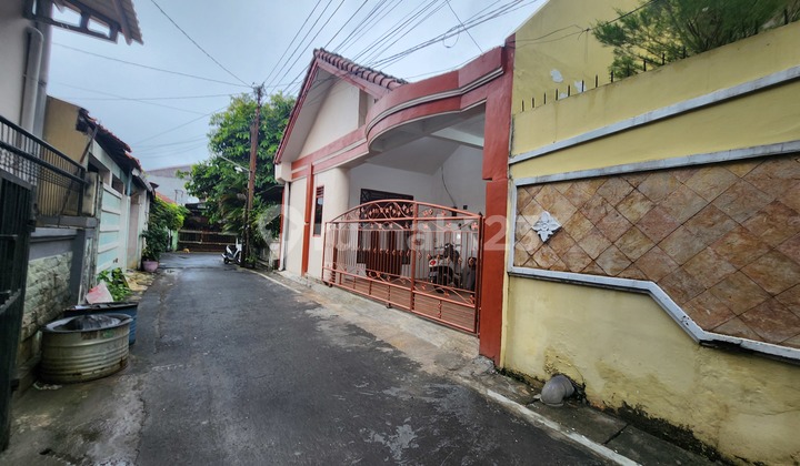 Kos Tengah Kota Undip Bawah Kos Tengah Kota Undip Bawah