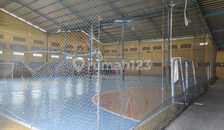 For Sports Field Business 2