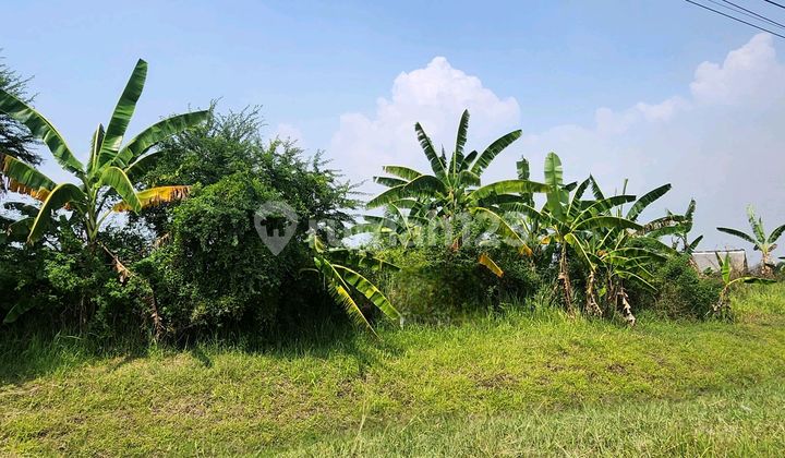 Cocok Untuk Industri Bisa Lewat Kontainer 1