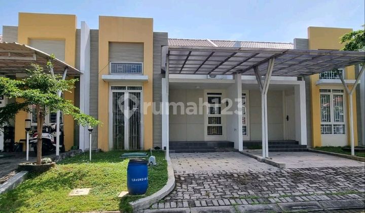 Ready to Occupy Good Strategic