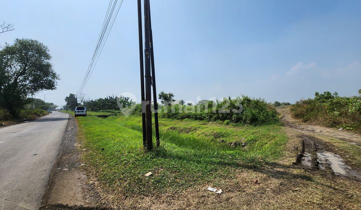 Sewa Tanah Zona Industri Kendal 2