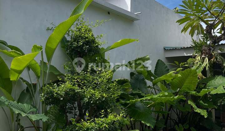 Lagriya Apartments, Elite Boarding House, Fully Furnished Deluxe, Pet Friendly, Near Sanur Mall, Living World, Vasaka Dyatmika School, International Hospital, Bali International Golf 2