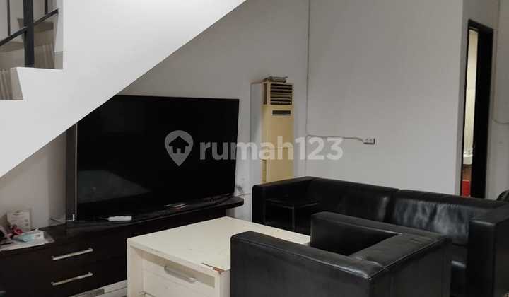 Cluster Favorit di Pik 2, Uk 8 X 15, Ready