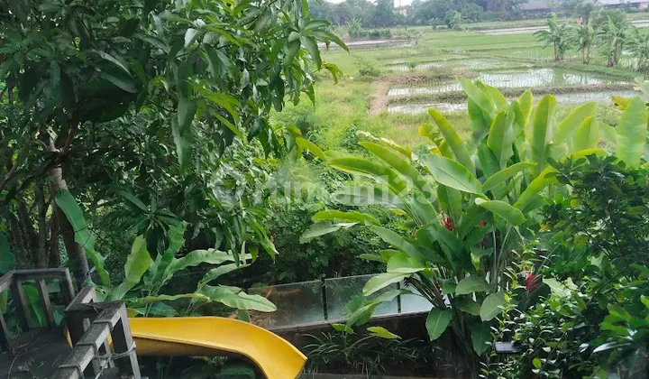 Hunian Exclusive Renon Dengan Onegate System SHM 2