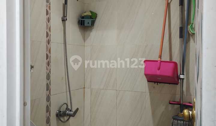 Golden Palm House (Size 6x16 m) 2