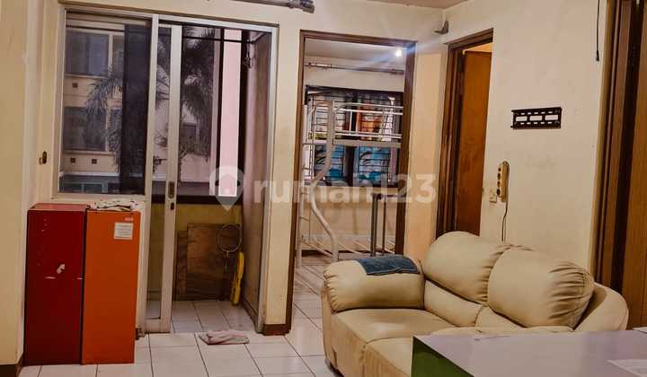 Apartment Palm Mansion (2 BR)